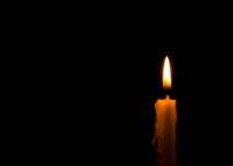 Foto: Nicvandum/Shutterstock