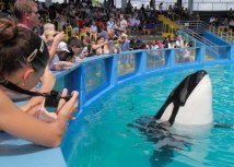 Lolita fotografisana na 40. godinjicu nastupa u Vodenom svetu u Majamiju/Getty Images