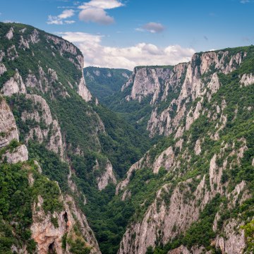 Foto: Shutterstock/Mirko Kuzmanovic