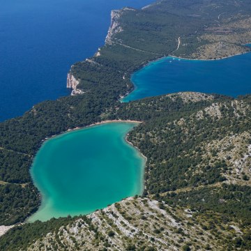 Foto: Shutterstock/goran_safarek