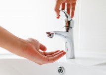 Foto: Shutterstock/nikkytok