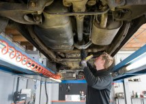 Foto: Robert Hoetink/Shutterstock