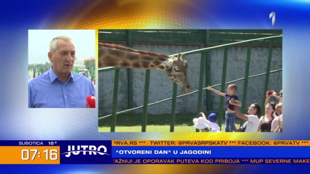 Foto: PrintScreen/ TV Prva Video