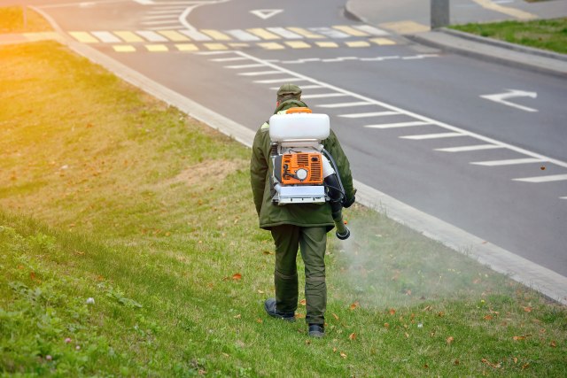 Foto: Tricky_Shark/Shutterstock