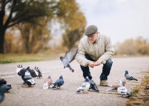 Foto: shutterstock, Shchus