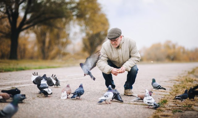 Foto: shutterstock, Shchus