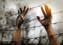 Foto: Shutterstock/Mikael Damkier