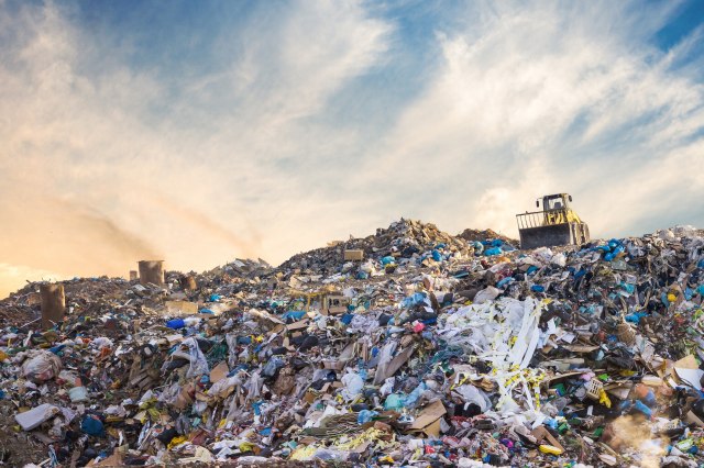 Foto: Shutterstock/vchal