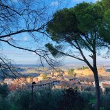 Foto: SheenaK/Shutterstock