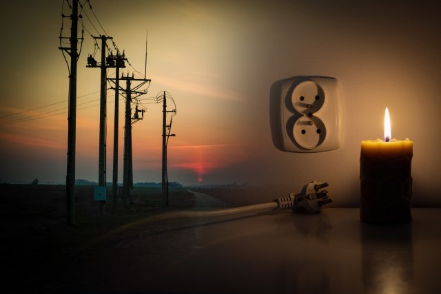 Foto: Shutterstock/Mushrooms Art