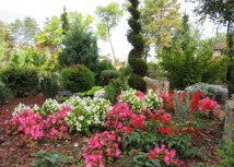 Foto: JKP umadija Kragujevac