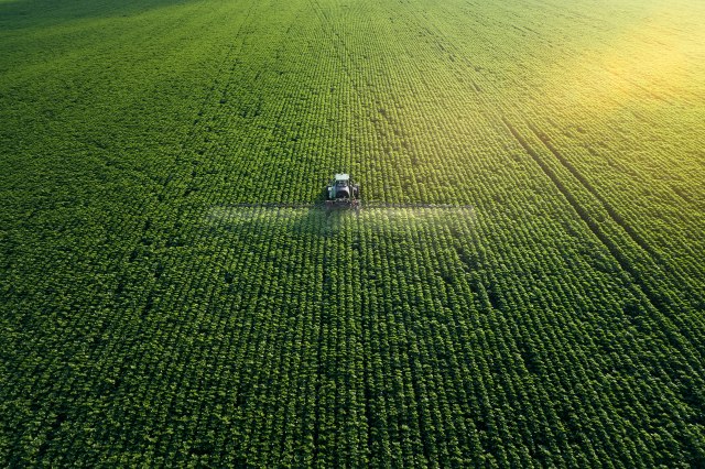 Foto: Shutterstock/KarlosWest