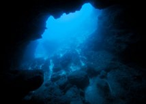 Foto:melissaf84/Shutterstock