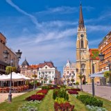 Foto: Shutterstock/xbrchx
