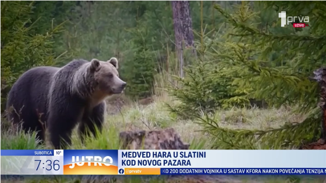 Foto: Printscreen TV Prva