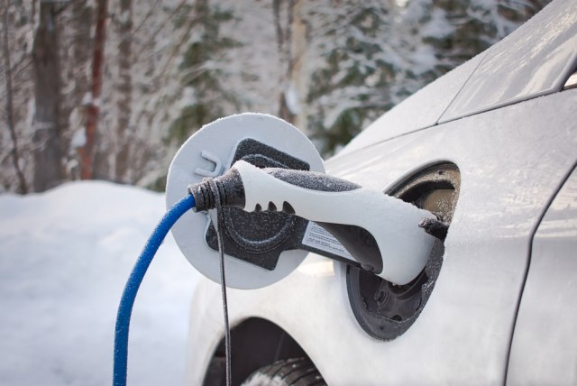 Foto: SwedishStockPhotos/Shutterstock