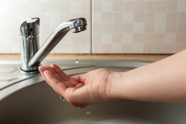 Foto: Sergei Gorin/Shutterstock