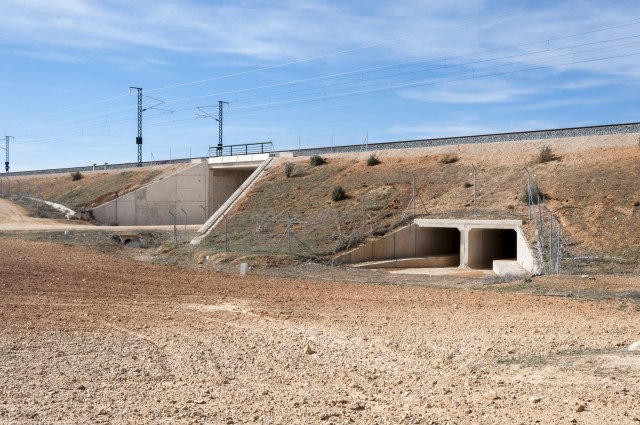 Foto: Shutterstock/Israel Hervas Bengochea