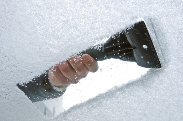 Foto: nulinukas/Shutterstock