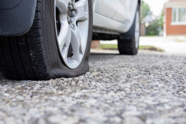 Foto: Elena Berd/Shutterstock