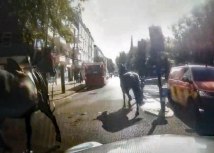Konji su drugi put jurili ulicama Londona u 2024./@Davenoisome/PA Media