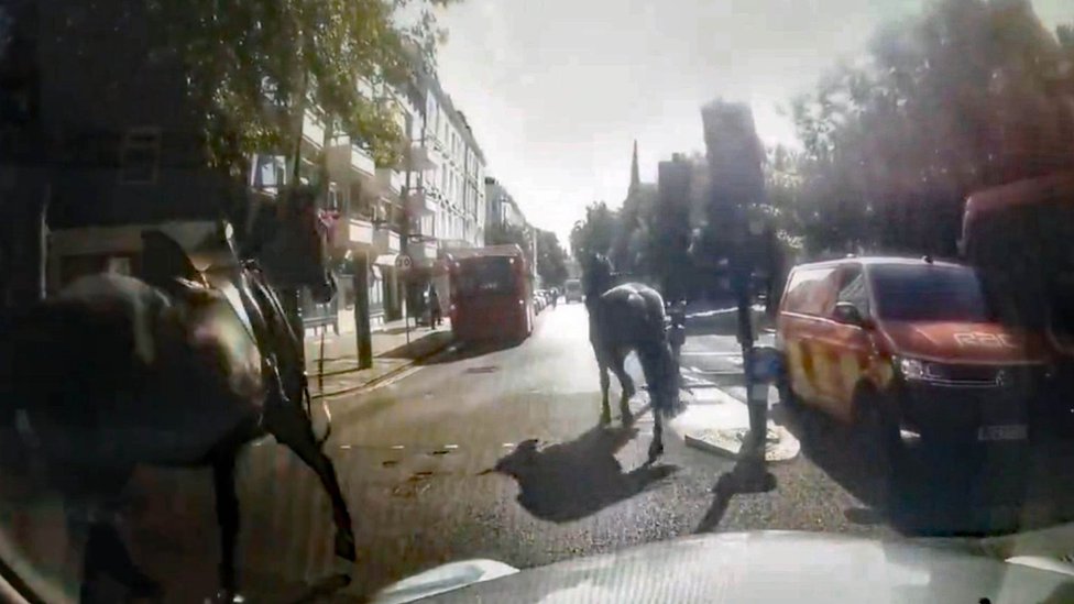 Konji su drugi put jurili ulicama Londona u 2024./@Davenoisome/PA Media