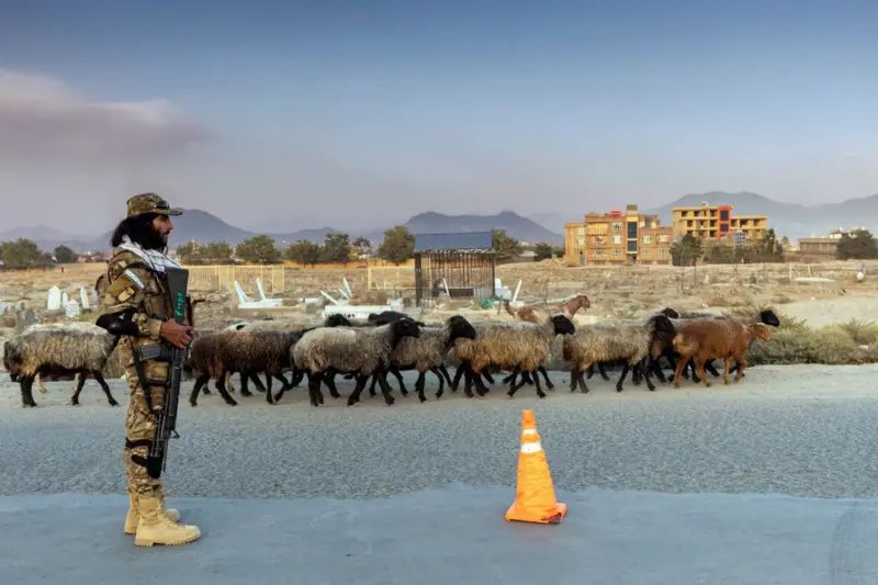 Talibani se bore protiv ISIS-a, ali ne mogu da ih isteraju iz Avganistana/AFP