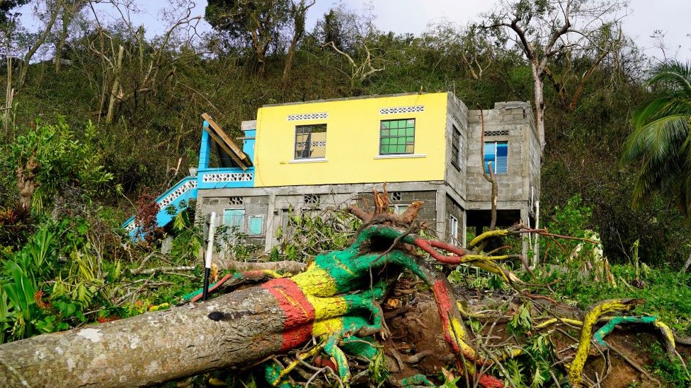 Oteena kua na ostrvu Grenada/Reuters