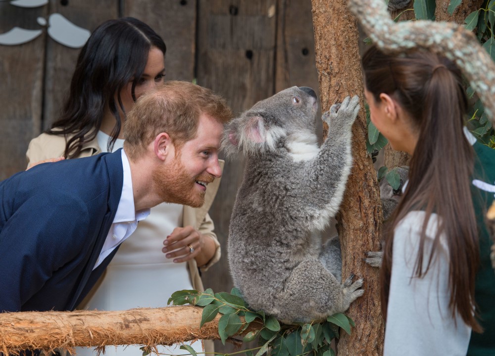 I princ Hari i Megan Markl su ljubitelji koala/Dominic Lipinski/PA Wire